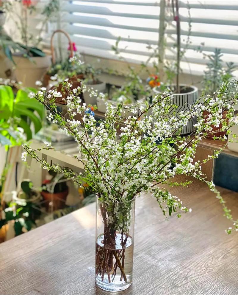 今日推荐,高品质生活!#现场实拍 #花卉绿植 #一束花的仪式 - 抖音